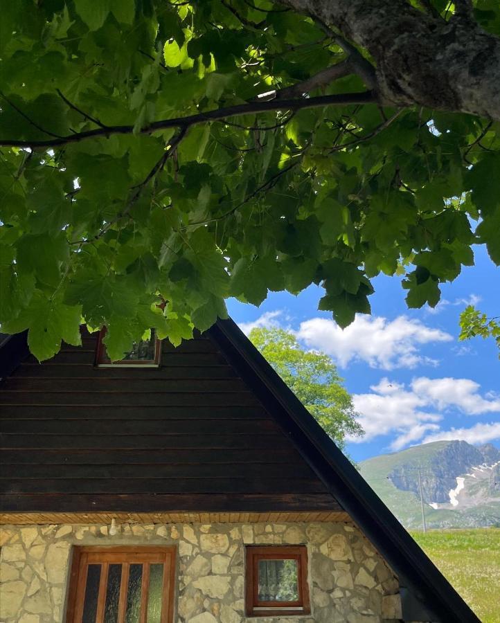 Apartman A&A Žabljak Dış mekan fotoğraf